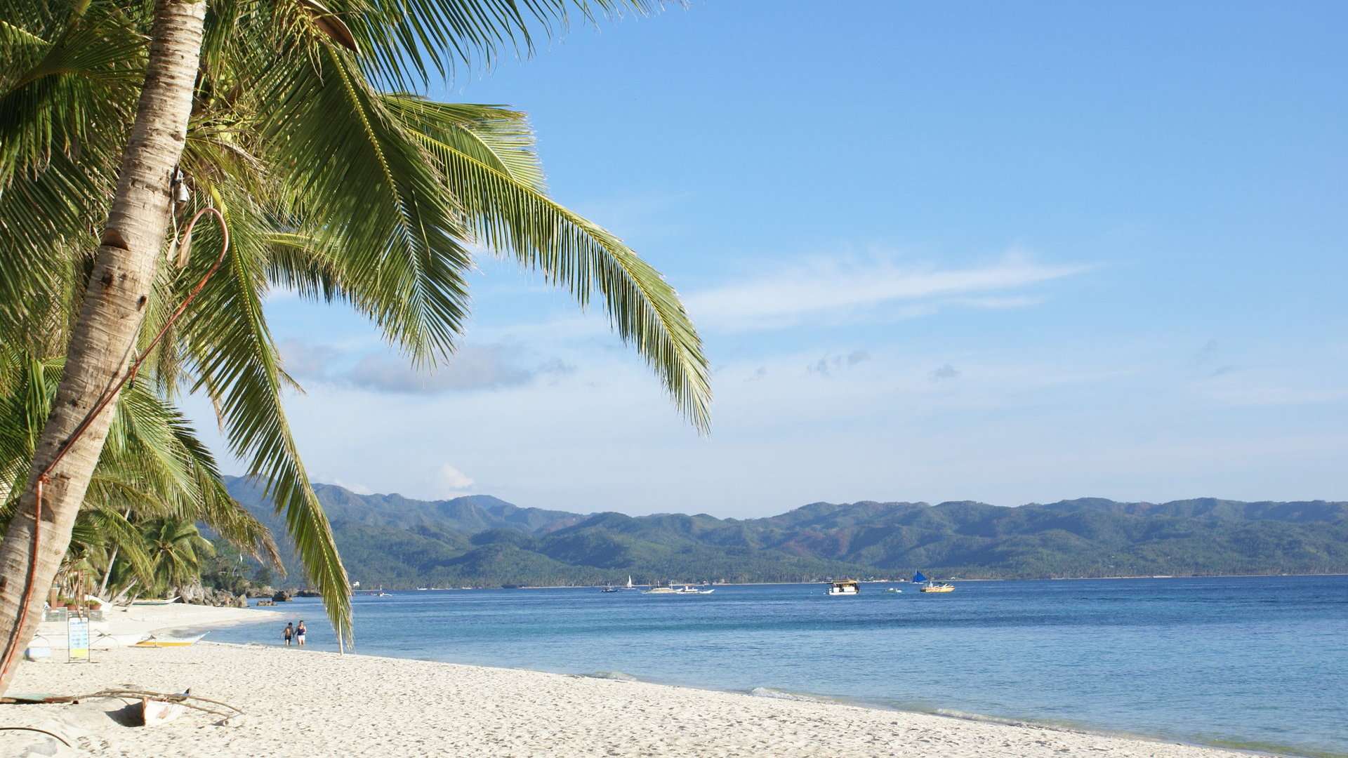 beautiful tropical wallpapers