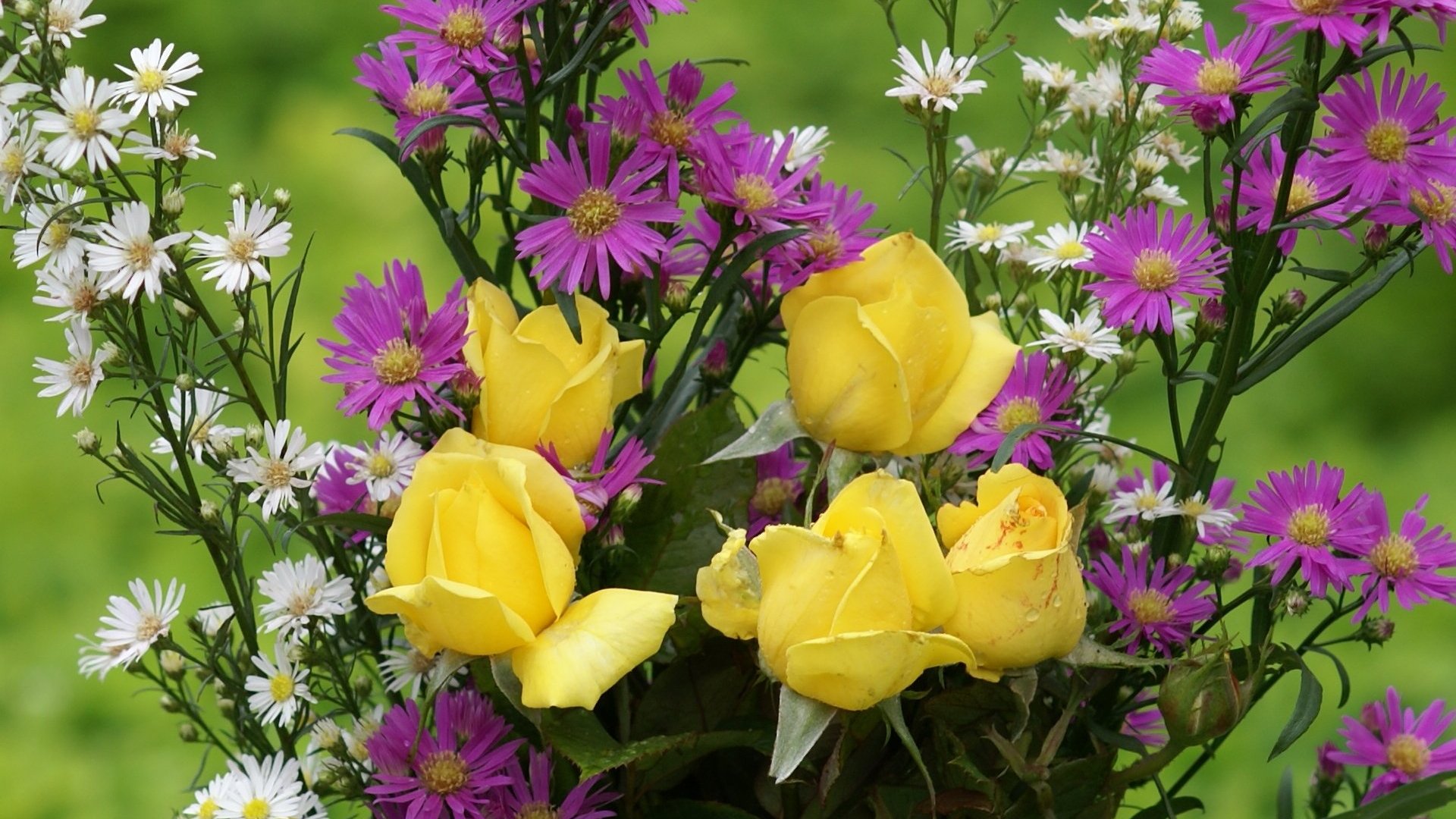 Résultat d’images pour Belles roses jaunes