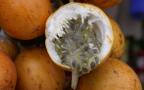 ripe passion fruit cut