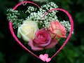 Романтични рози