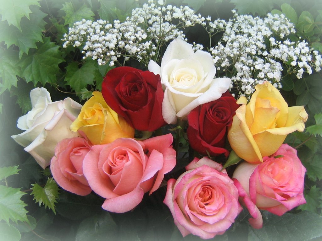 http://www.allabouthappylife.com/wallpapers/roses_bouquets/roses_bouquet_3553.jpg