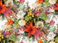 Spring flowers and blossoms