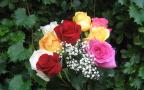 красив букет рози