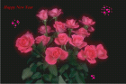 Rosa Rosen