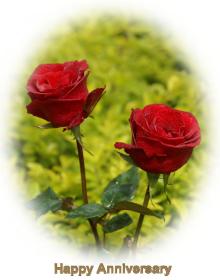 Anniversary greeting card
