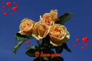 I Love you eCard roses