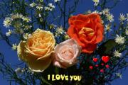 I Love you eCard roses