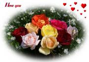 I Love you eCard roses