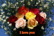 I Love you eCard roses