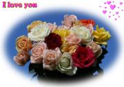 I Love you eCard roses