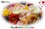 I Love you eCard roses