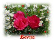 I Love you eCard roses