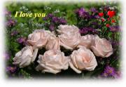 I Love you eCard roses