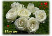 I Love you eCard roses