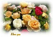 I Love you eCard roses