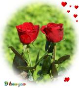 I Love you eCard roses