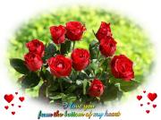 I Love you eCard roses