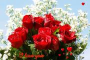 I Love you eCard roses