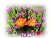 I Love you eCard roses