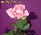Father's day LoveCards pink rose - free eCards by eMail to say *happy fathersday*