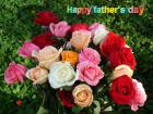 Father's day LoveCards mixed colors roses bouquets - free eCards by eMail to say *happy fathers day*