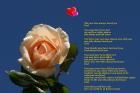 God always loves you