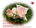 Manifestation of God's love