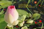 Open your heart - God card