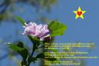 God card - sincere efforts