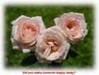 God card - pink roses