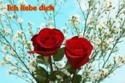 Rote Rosen - Ich liebe dich