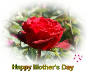 Mother's day greeting cards