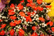 Exotic flower arrangements mothers day ecards