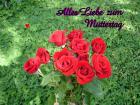 Muttertag's eKarte *Alles Liebe zum Muttertag* dunkelrote Rosen