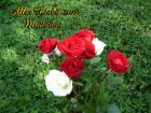 Muttertag's eKarte *Alles Liebe zum Muttertag* rote und weisse Rosen