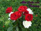 Muttertag's eKarte *Alles Liebe zum Muttertag* rote und weisse Rosen