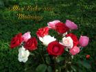 Muttertag's eKarte *Alles Liebe zum Muttertag* rosa, weisse und rote Rosen
