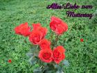Muttertag's eKarte *Alles Liebe zum Muttertag* rote Rosen