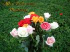 Muttertag's eKarten bunte Rosen aprikose, pfirsich, rosa, rot, weiss *Alles Liebe zum Muttertag*