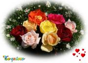 Rosas de amor texto *te quiero*