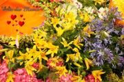 Postales dia de las Madres flores