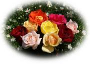 rosas de amor