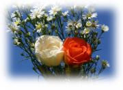 rosas de amor