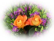 rosas de amor