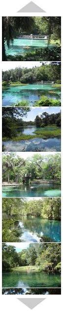 Florida Springs