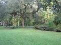 Alexander Springs Park