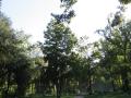 Alexander Springs Park - recreational area