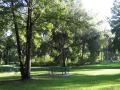 Alexander Springs Park - picnic area