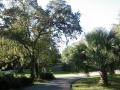 Alexander Springs Park