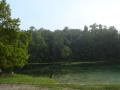 Alexander Springs Park